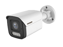 Видеокамера SSDCAM IP-129FC v.2
