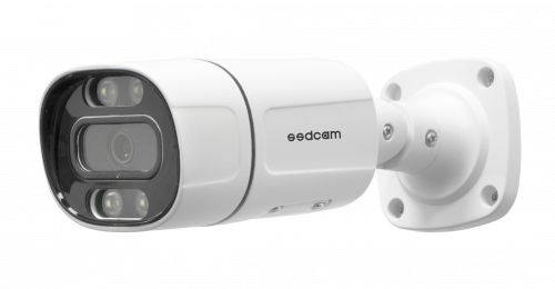 Видеокамера SSDCAM IP-129FC